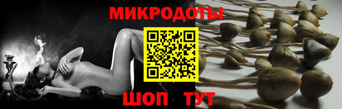 сколько стоит  Псилоцибиновые грибы прущие грибы  Вход с VPN  Тюмень  Галлюциногенные грибы прущие грибы 