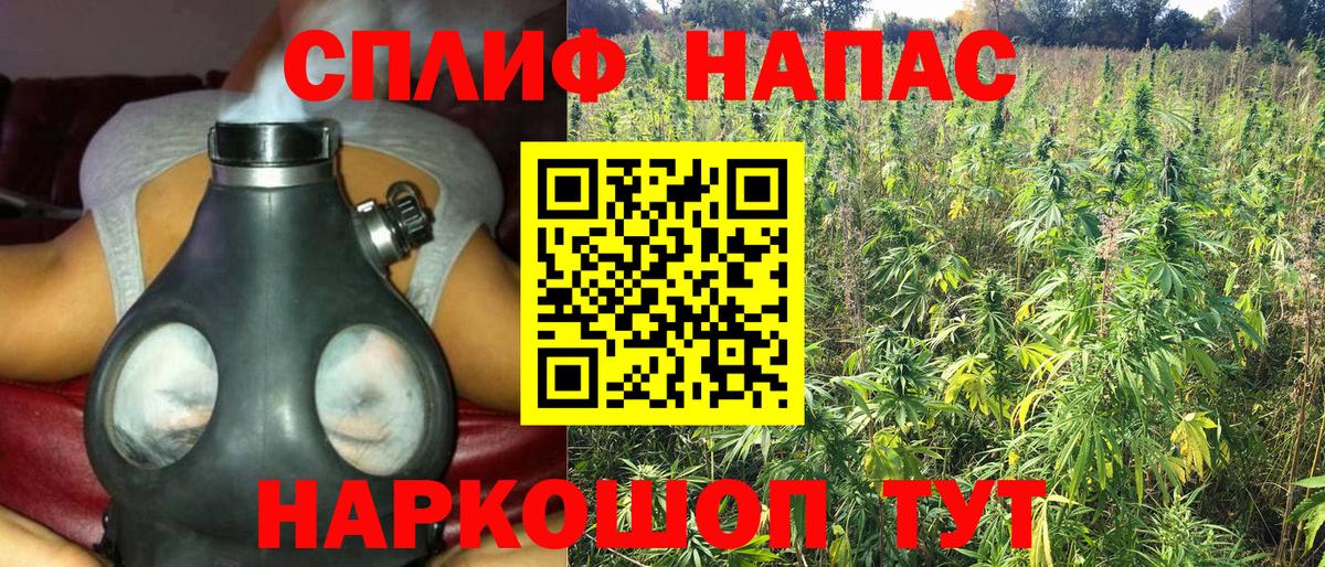 Конопля SATIVA & INDICA Тюмень